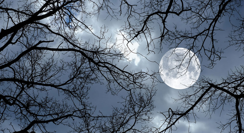 Illustration for article titled Cómo sacar buenas fotos a la Luna sin ser un experto en fotografía